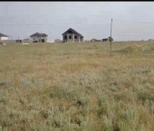 земля 5 сот СНТ Ветеран